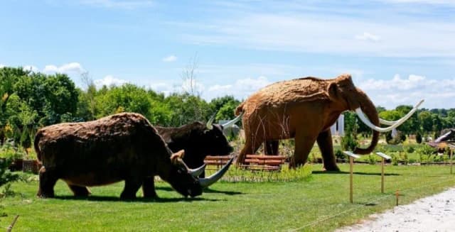 Deli Park atrakcje – odkryj niezwykłe miejsca dla dzieci i rodzin